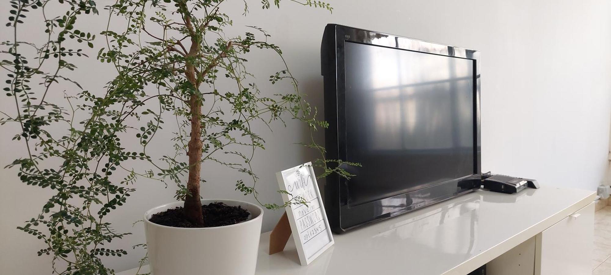 הנביאים 1 נתניה Naveim Apartment Eksteriør billede